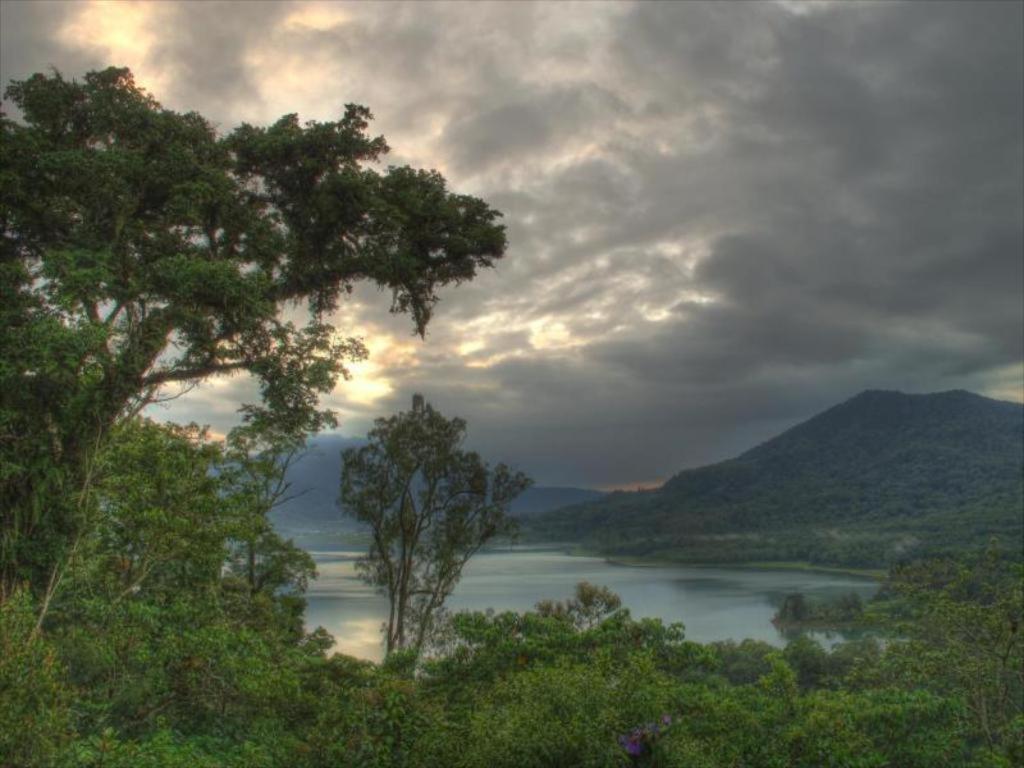 Отель Bukit Kembar Ecotourism Gitgit Экстерьер фото